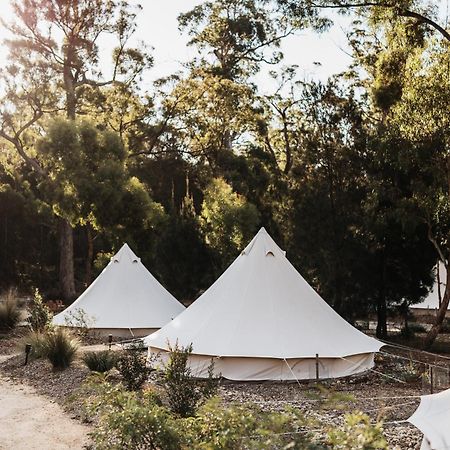 Bay Of Fires Bush Retreat Bed & Breakfast Binalong Bay Exterior photo